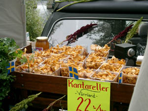 Kantareller