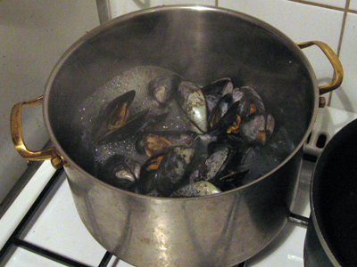 musselkok