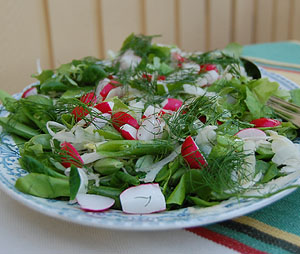 Sallad med sockerärtor, rädisor, fänkål och dill