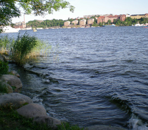 Utsikt från Mälarpaviljongen