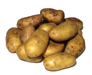 Potatis