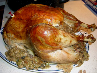 Thanksgiving turkey